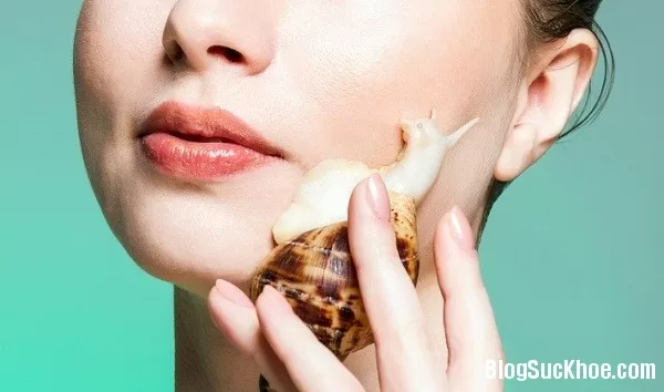 10 điều thú vị về cách làm đẹp bằng nhớt ốc sên