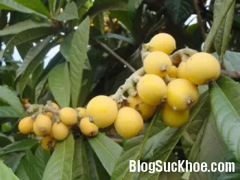 Thực phẩm mẹ nên tránh cuối thai kỳ nếu không muốn sinh non