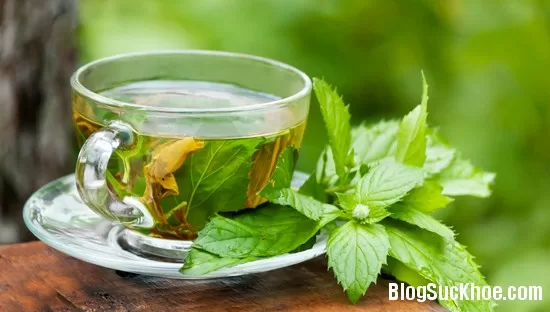 Giảm cân cấp tốc trong 2 tuần với trà gừng bạc hà