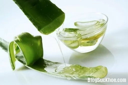 Những bệnh được chữa bằng lá nha đam