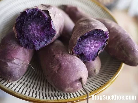 Khoai lang tím giúp tiêu diệt tế bào ung thư