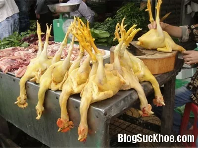 Mẹo nhận biết gà nhuộm hóa chất, lợn bơm nước tăng trọng