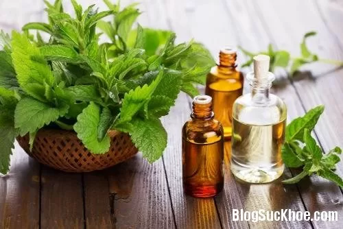 10 loại tinh dầu chữa bệnh hiệu quả
