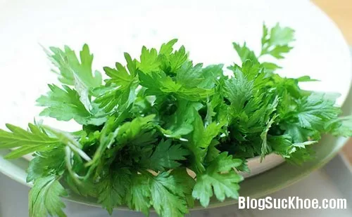 Ngải cứu - món ăn, vị thuốc vô cùng quý với sức khỏe