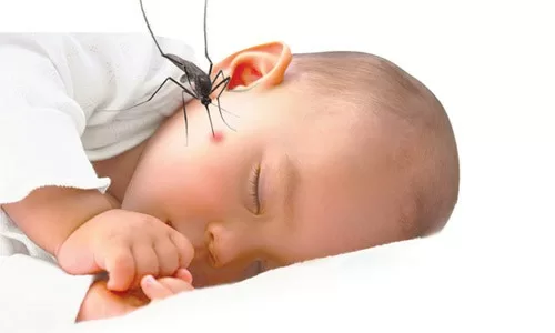 Mẹo nhỏ chữa vết muỗi đốt khó chịu
