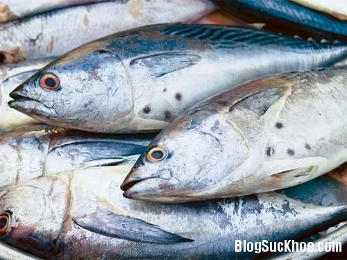 Những loại cá mẹ bầu tránh tuyệt đối không được ăn