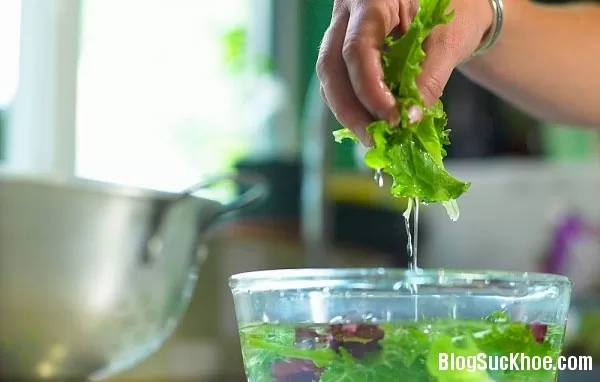 Cách rửa rau giúp loại bỏ những chất độc hại