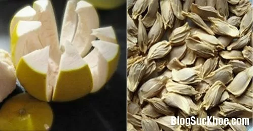Hạt bưởi - vị thuốc thần kỳ từ thiên nhiên