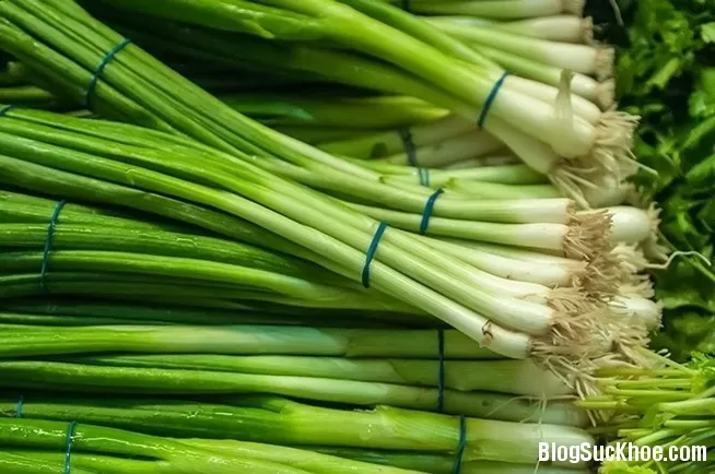 Bài thuốc chữa bệnh từ hành lá