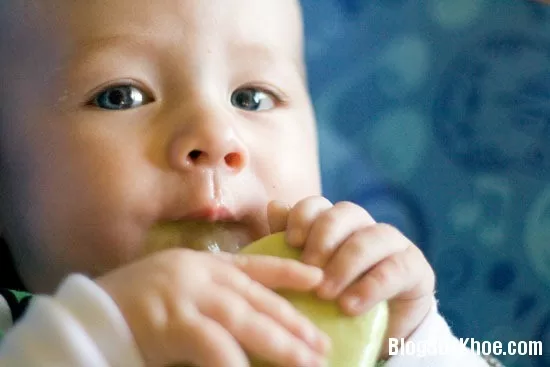 Ăn bơ giúp trẻ thông minh và khỏe mạnh