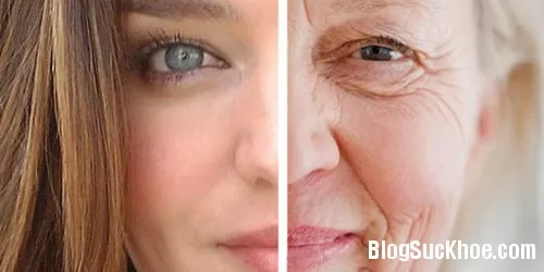 Cách ăn uống giúp bạn lão hóa chậm 15 năm