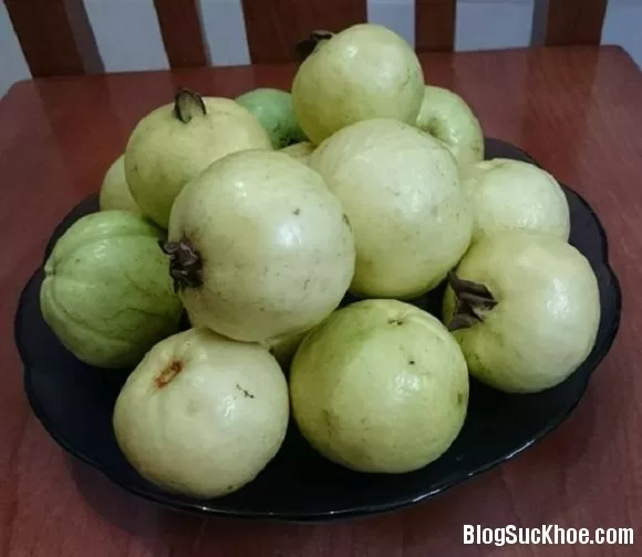 Rượu ổi trị các bệnh về đường ruột
