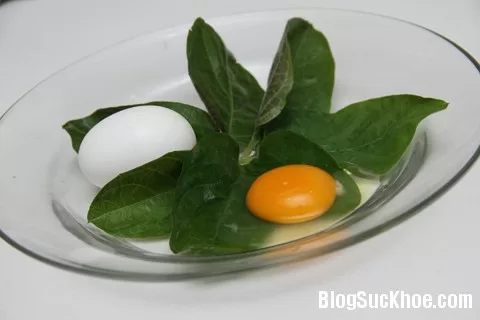 Lá mơ chữa bệnh đường tiêu hóa