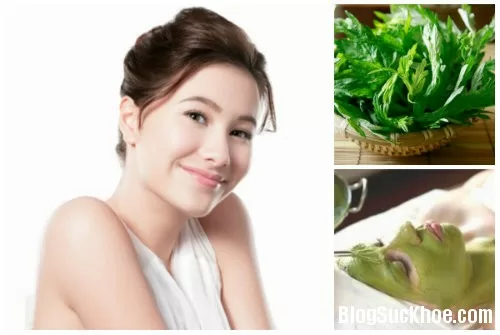 Da sạch mụn nhờ dùng ngải cứu trong 1 tuần