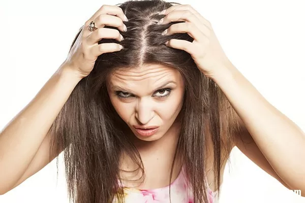 Trị gàu cực nhanh bằng muối hiệu quả
