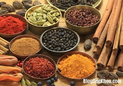 Những loại kháng sinh tự nhiên chữa bách bệnh