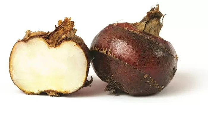 Củ năng chữa trĩ ra máu, táo bón