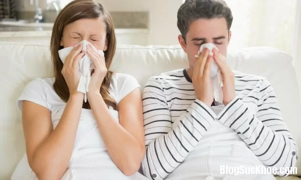 Cảm lạnh và những sự thật không ngờ