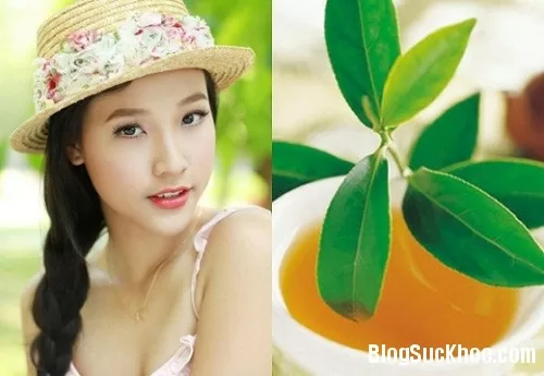 Mẹo chữa sẹo cực đỉnh với lá chè xanh
