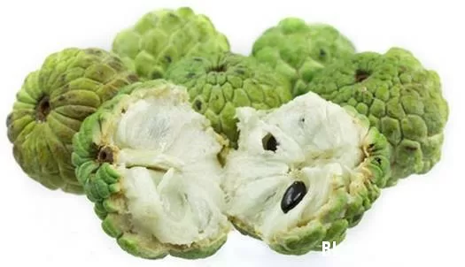Quả na - vị thuốc quý chữa nhiều bệnh