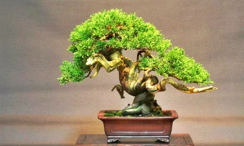 Cách xem tuổi vợ chồng đúng