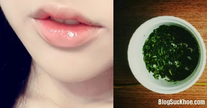 'Thần dược' trị môi thâm xì cho phái đẹp