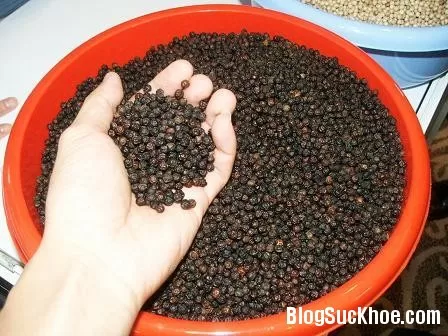 Bài thuốc trị bệnh từ hồ tiêu