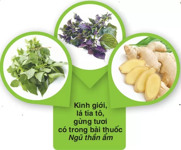 Món ăn chữa cảm mạo