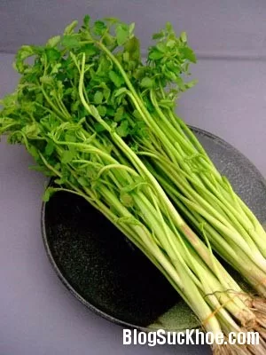 Công dụng chữa bệnh khác nhau của cần tây và cần ta