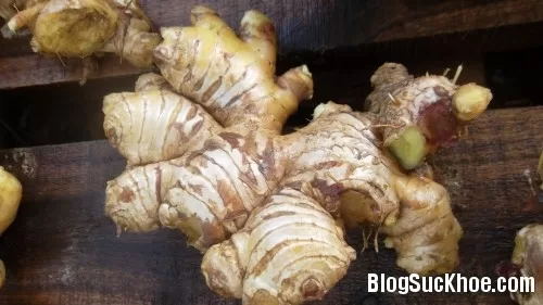 Cách dùng gừng không khác nào ăn thạch tín