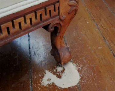 Mối mọt không còn là nỗi lo khi biết những mẹo này