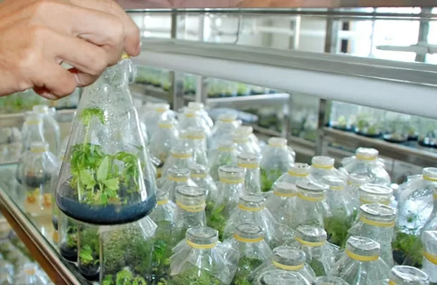Nông nghiệp hiện đang là "đất màu" cho việc khởi nghiệp