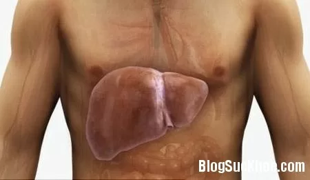 Nguyên nhân và biểu hiện bệnh u gan