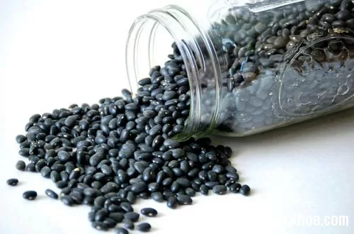 Một số cách trị bệnh bằng đậu đen