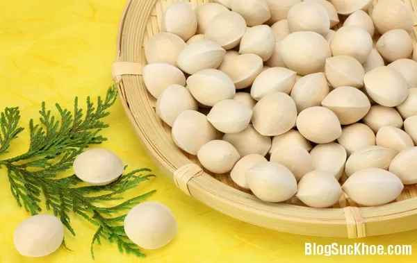 Một số bài thuốc từ bạch quả