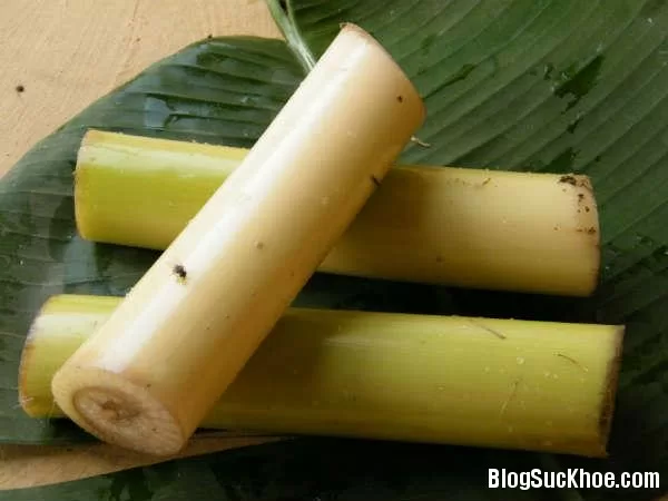 Lợi ích sức khỏe của thân cây chuối