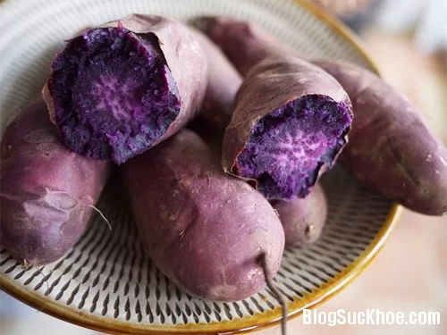 Tác dụng trị liệu tiêu biểu từ khoai lang tím
