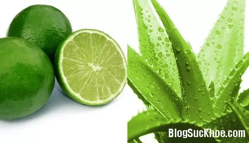 Trị mụn hiệu quả chỉ với nha đam