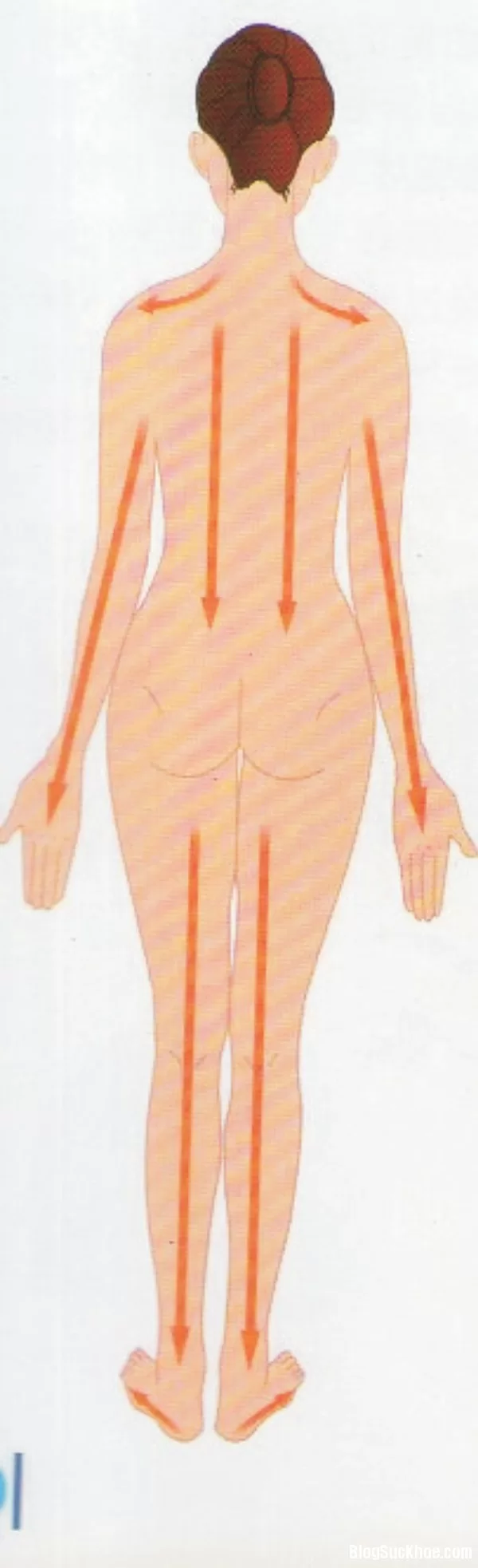 Các vị trí cạo gió trên người