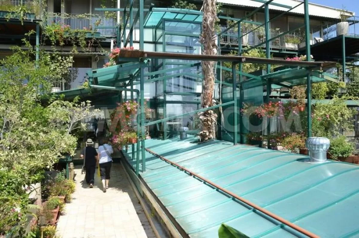 CÙng nhìn qua những thiết kế thông minh “làm bạn” với cây xanh