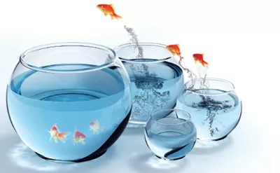 Luân chuyển công việc: Biện pháp giúp các doanh nghiệp làm mới nhân viên