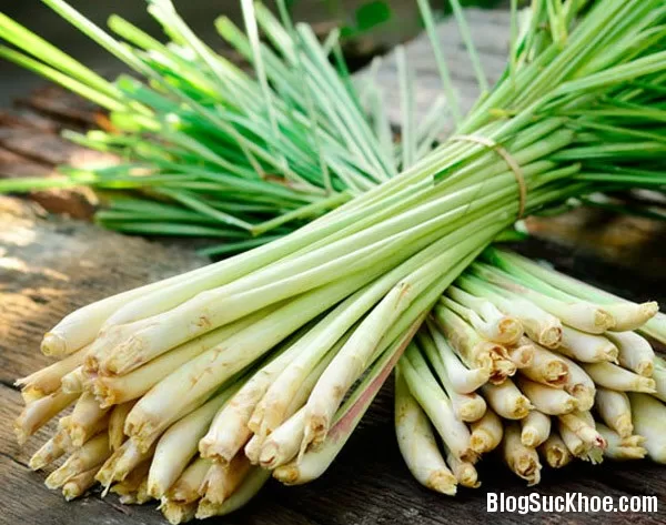 Cách dùng cây sả chữa bệnh