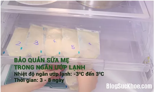 Bảo quản sữa và thức ăn dặm cho bé như thế nào khi mẹ bận rộn?