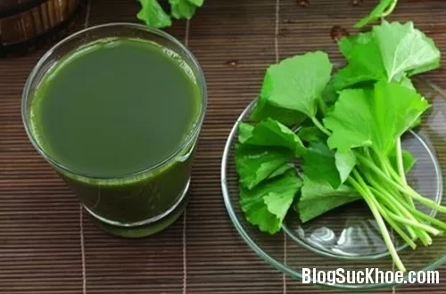 Thực phẩm giúp mẹ mát sữa sau sinh