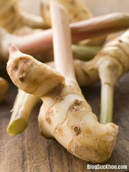 Trị đau bụng tiêu chảy bằng củ riềng