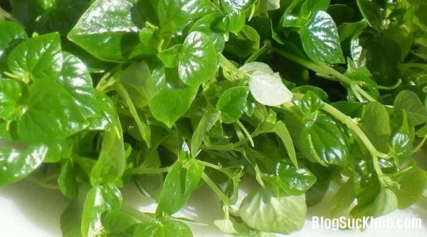 Trị mụn hiệu quả với 10 loại rau củ dễ tìm