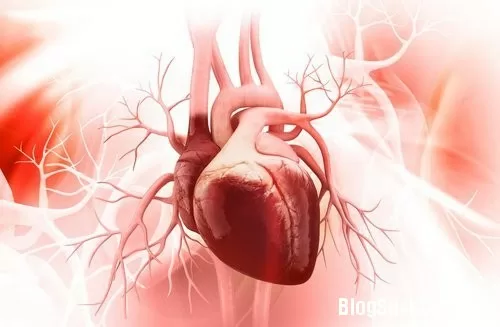 Thói quen xấu gây hại tim bạn cần biết