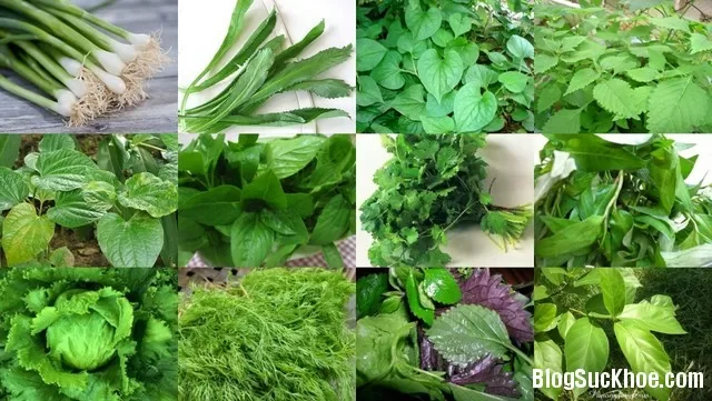 Vị thuốc dân dã từ rau thơm