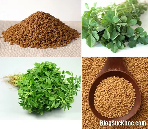 Mẹo trị tiêu chảy nhanh và hiệu quả