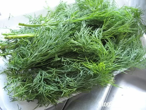 Chữa bệnh hiệu quả với thìa là